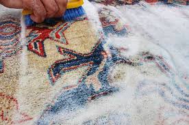 Emergency Rug Cleaning: Quick Responses to Common Accidents – RenCollection