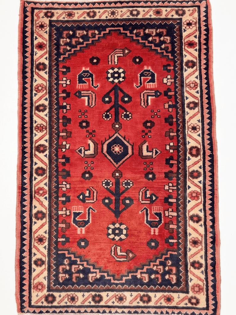 #product_name #Dallas_DFW_TX