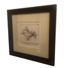 product_name Dallas_DFW_TX