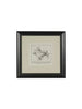 product_name Dallas_DFW_TX
