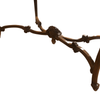 product_name Dallas_DFW_TX