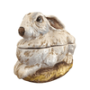 product_name Dallas_DFW_TX