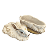 product_name Dallas_DFW_TX