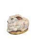 product_name Dallas_DFW_TX