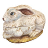 product_name Dallas_DFW_TX