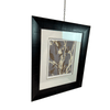 product_name Dallas_DFW_TX