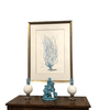 product_name Dallas_DFW_TX