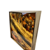 product_name Dallas_DFW_TX