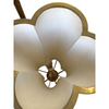 product_name Dallas_DFW_TX