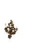 product_name Dallas_DFW_TX