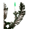 product_name Dallas_DFW_TX