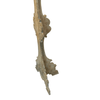 product_name Dallas_DFW_TX