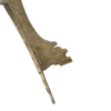 product_name Dallas_DFW_TX