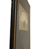 product_name Dallas_DFW_TX