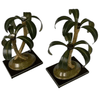 product_name Dallas_DFW_TX