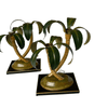 product_name Dallas_DFW_TX