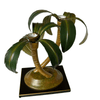 product_name Dallas_DFW_TX