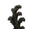 product_name Dallas_DFW_TX