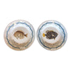 product_name Dallas_DFW_TX