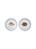 product_name Dallas_DFW_TX
