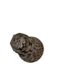 product_name Dallas_DFW_TX