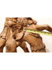 product_name Dallas_DFW_TX