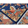 10x14 Serapi Style Area Rug  - 502515.