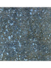 9x13 Modern Overdyed Persian Area Rug - 110941.
